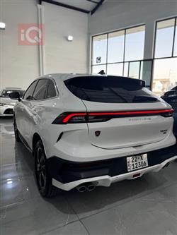 دونج فينج T5 EVO